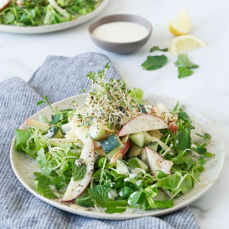 Alfalfa Sprouts Salad with Lemon Vinaigrette