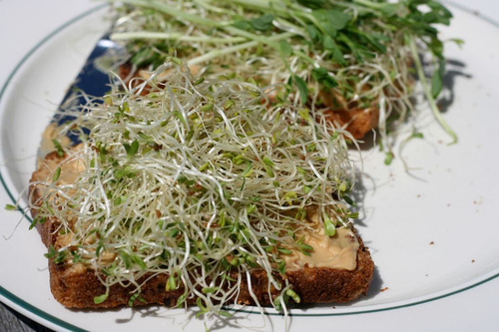 Alfalfa Sprouts and Peanut Butter Toast