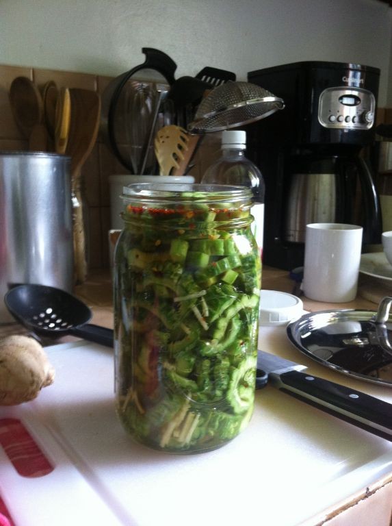 Bitter Melon Pickles with Vinegar