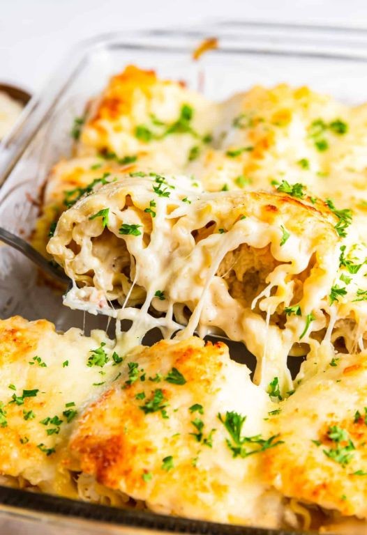 Creamy Chicken Alfredo Lasagna Roll-Ups