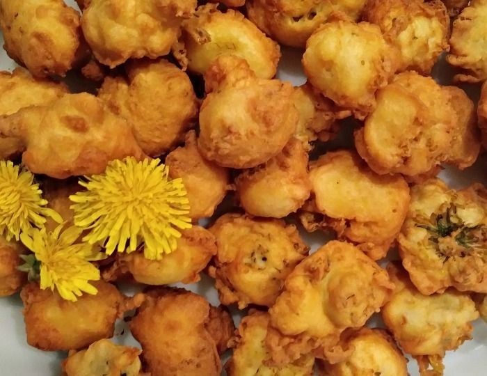 Dandelion Flower Fritters