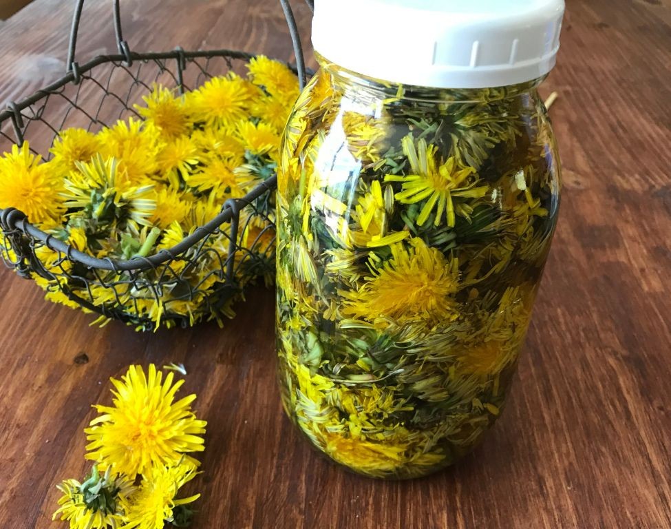 Dandelion Flower Infused Vinegar