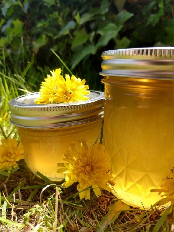 Dandelion Flower Jelly