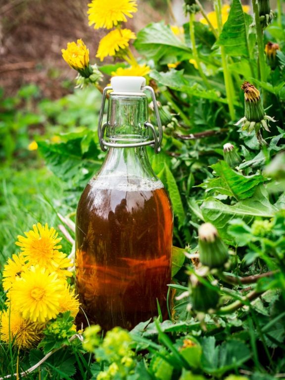 Dandelion Flower Syrup