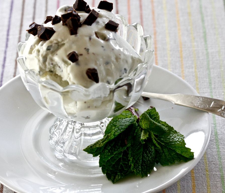 Mint Chocolate Frozen Yogurt