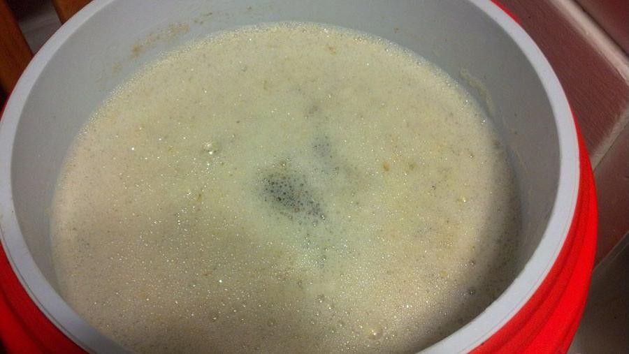Peach and Barley Cereal Mash