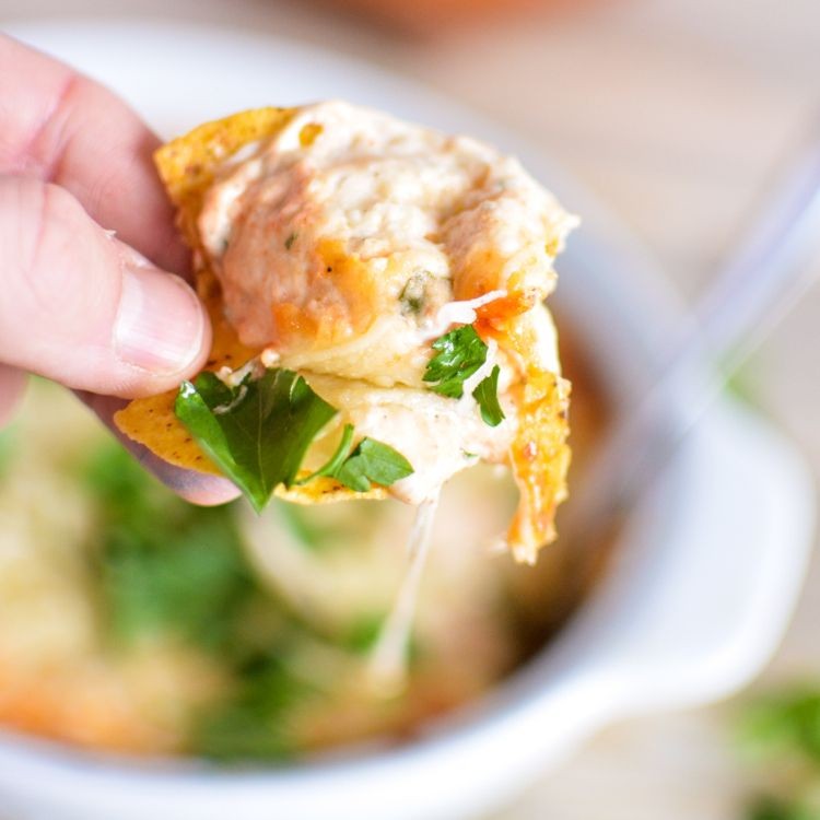 Roasted Garlic and Herb White Pizza Dip