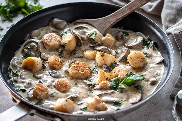 Scallop and Mushroom Cream Soup
