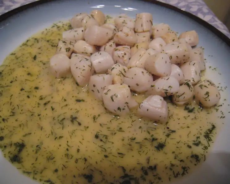 Scallops with Creamy Dill Sauce
