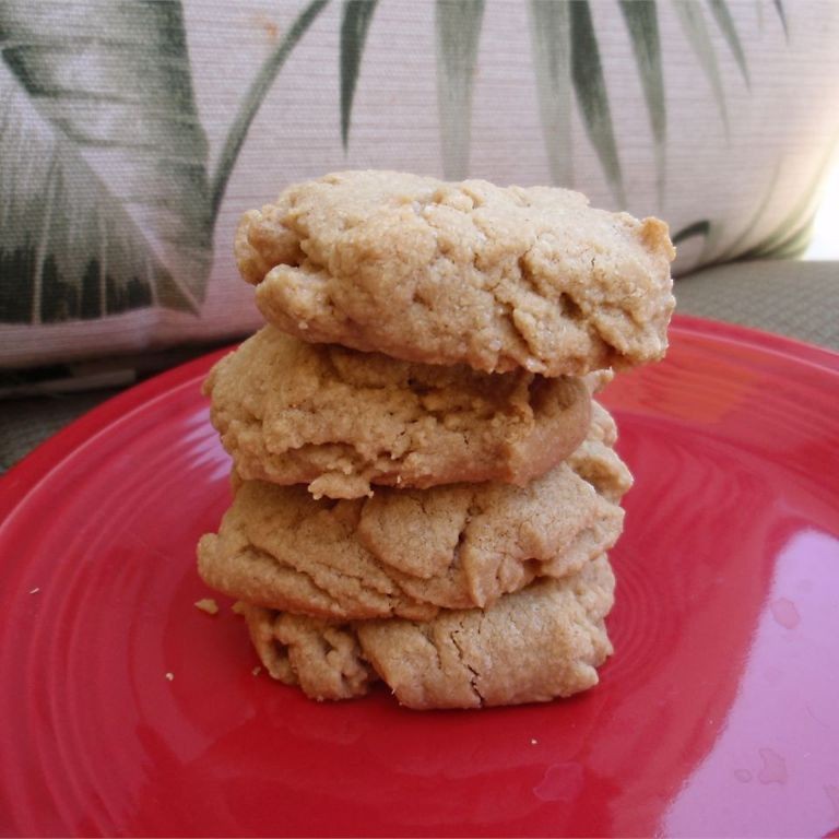 Sugar-Free Peanut Butter Cookies