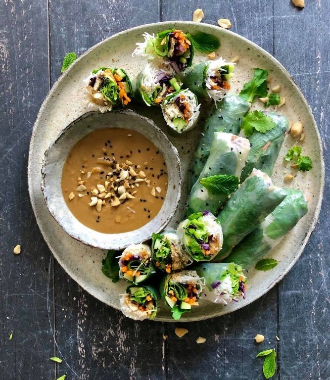 Vegetable Spring Rolls with Hoisin Sauce