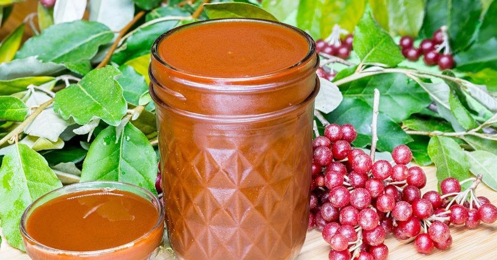 Autumn Olive BBQ Sauce for Grilling