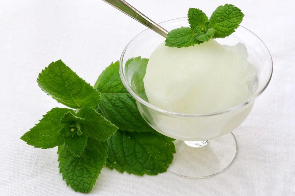 Autumn Olive Sorbet with Mint