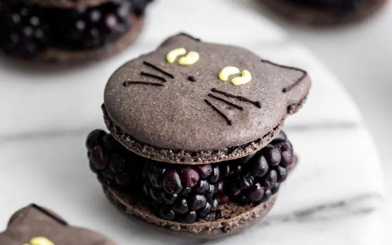 Black Cat Chocolate Macarons