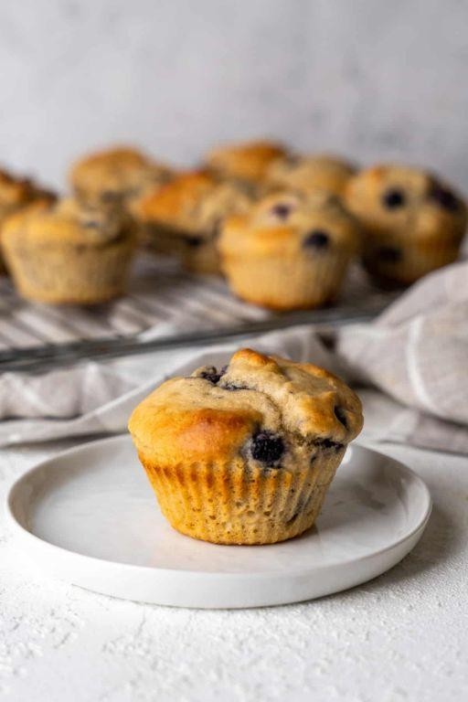 Blueberry Protein Muffins