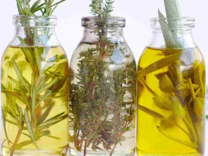 Chervil Infused Olive Oil