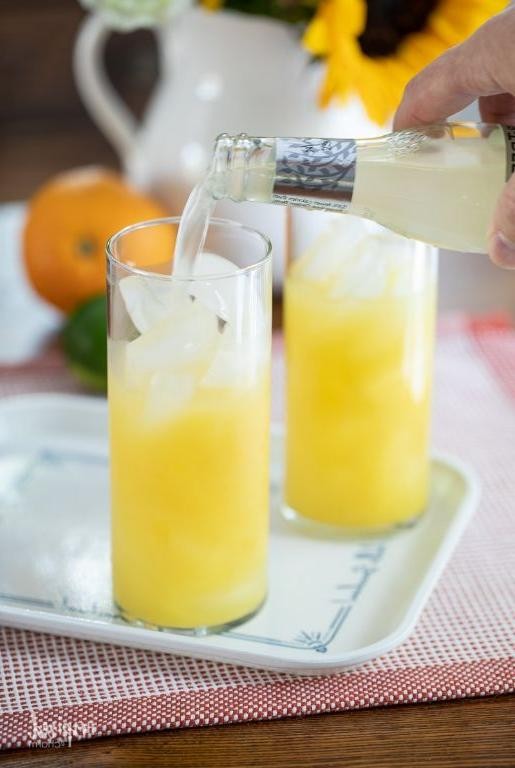 Citrus Ginger Spritzer