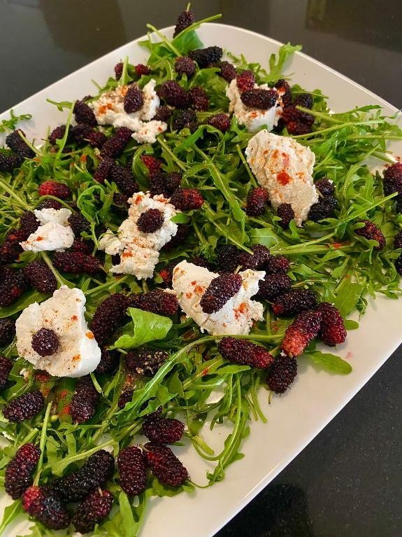 Mulberry and Goat Cheese Salad