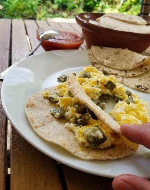 Nopalitos and Egg Breakfast Tacos