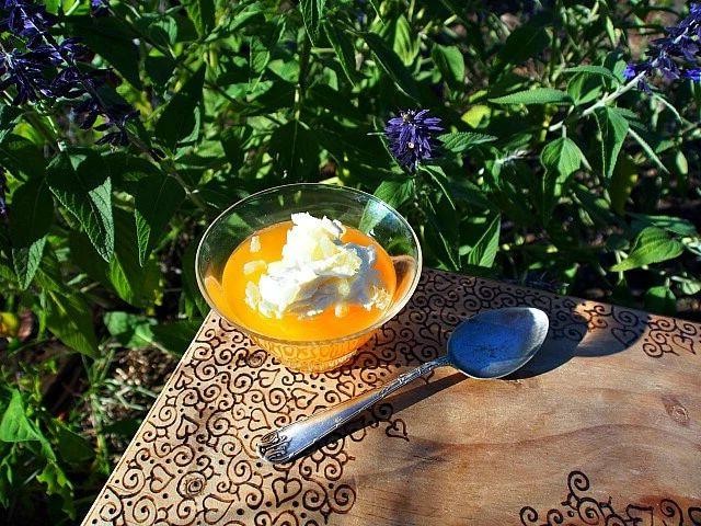 Orange Jello with Candied Ginger Bits