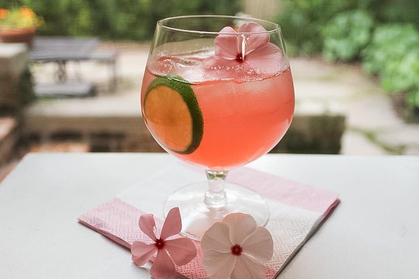 Rhubarb Gin Cocktail