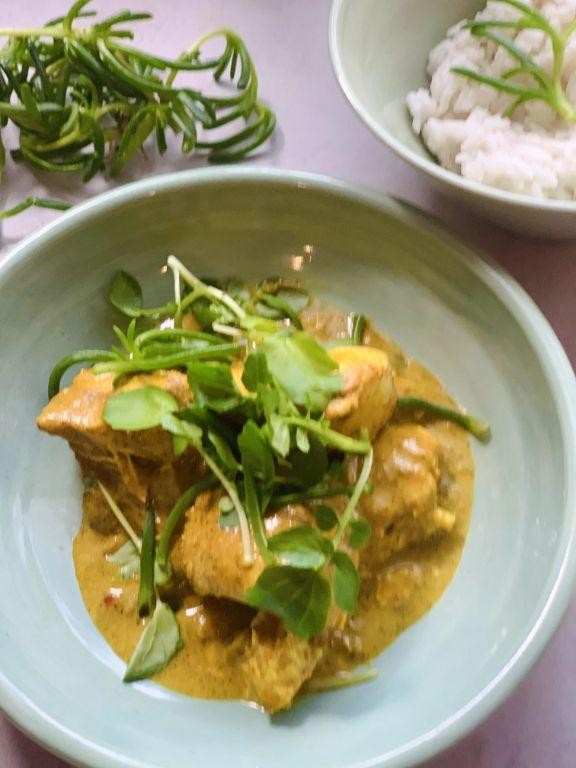 Thrasher Shark Curry with Coconut Milk and Chilies